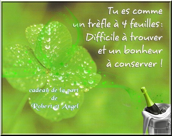 cadeau pour tous et toutes